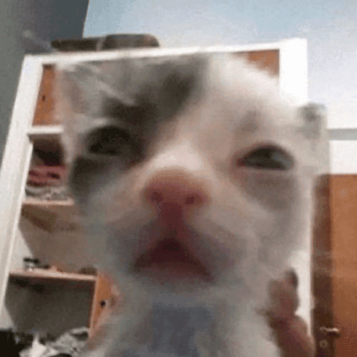 BG